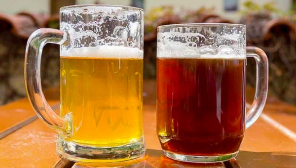Bassa o alta fermentazione: quale scegliere?
