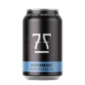 7 Fjell Addictive Dopamine Pale Ale