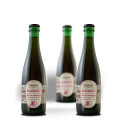 HaandBryggeriet-Raspberry-Fields-Forever