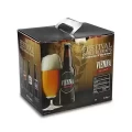 Festival Vienna Red Lager