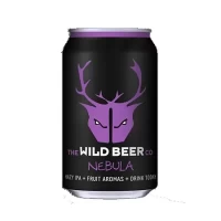 Wild Beer Nebula