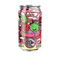 Amundsen Lush Raspberry and Lime