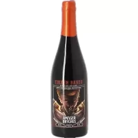 Amager American Outlaws Cullen Baker